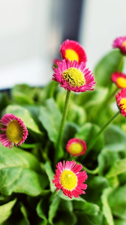 Доставим ваш заказ в течение 2 – 3 дней